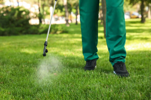 Best Ant Control Services  in Haysville, KS