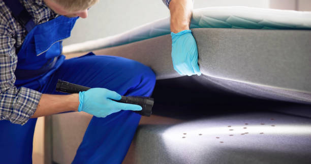 Best Mosquito Control Services  in Haysville, KS