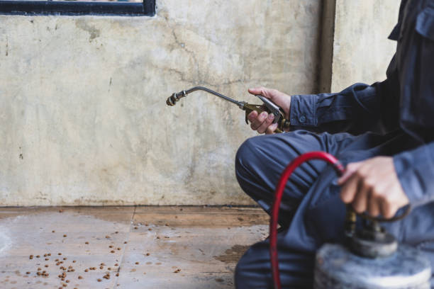 Best Pest Control for Restaurants  in Haysville, KS