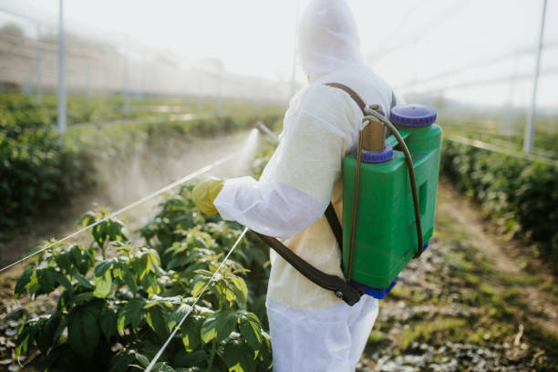 Best Affordable Pest Control Services  in Haysville, KS